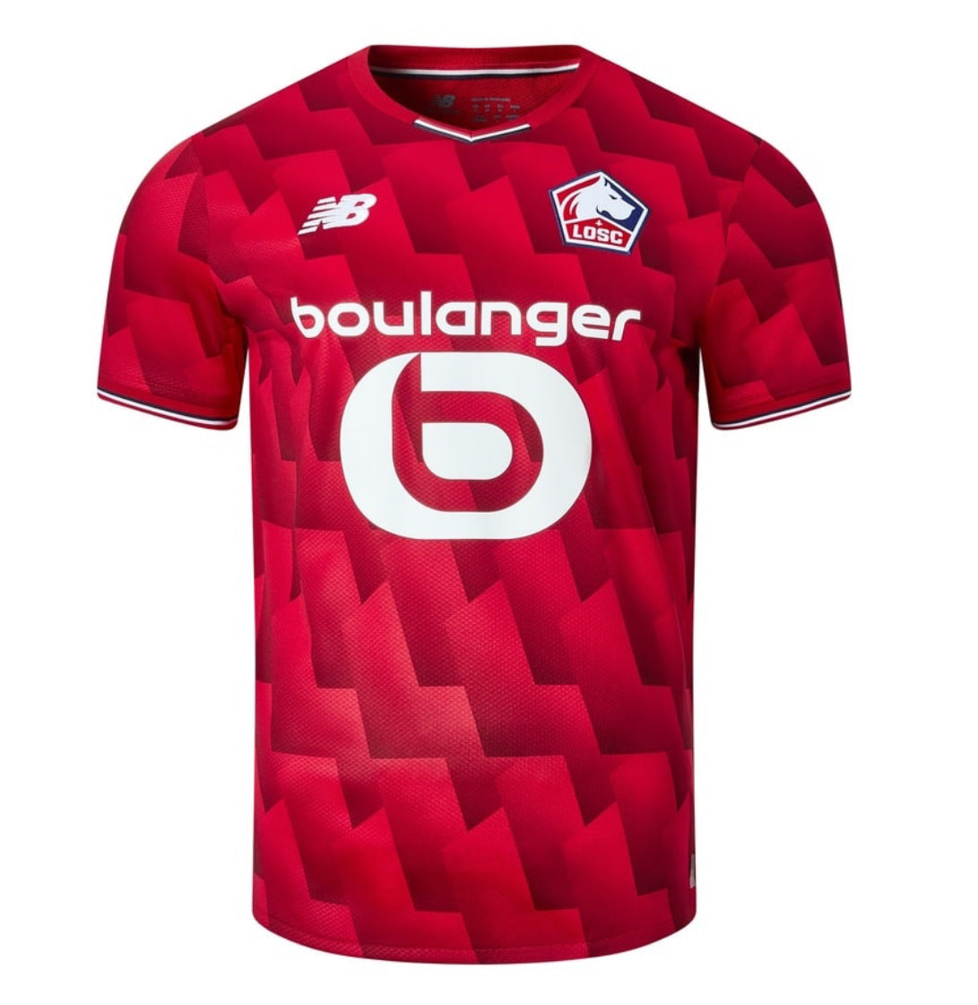LOSC Domicile 2025 2026